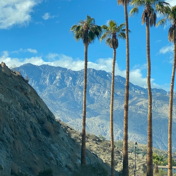 Meet your Posher, Jennifer - Picture 1 of 2